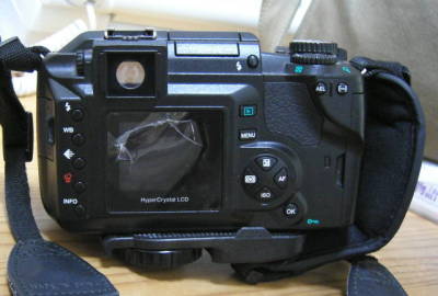 807376310_93.jpg