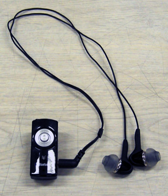 bt81-hontai.jpg