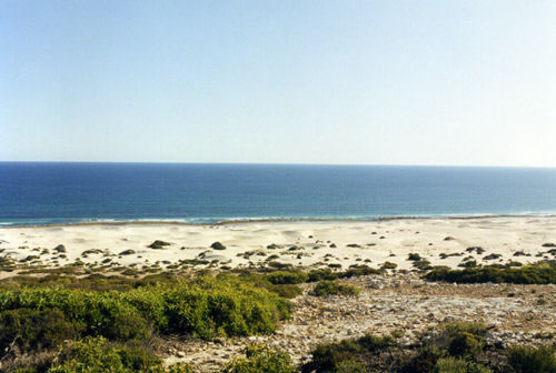 nanpyouyou-hama-1.jpg
